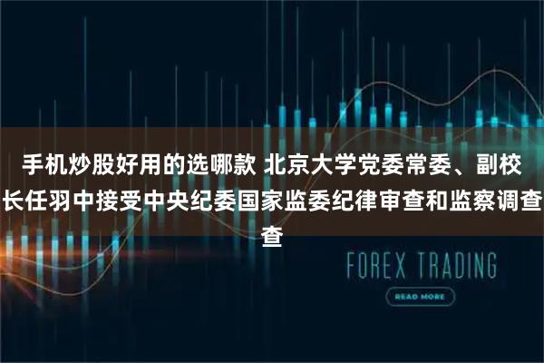 手机炒股好用的选哪款 北京大学党委常委、副校长任羽中接受中央纪委国家监委纪律审查和监察调查